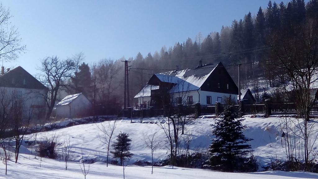 Penzion Edelstejn Petrovice  Exterior photo